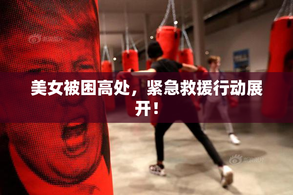 美女被困高处，紧急救援行动展开！
