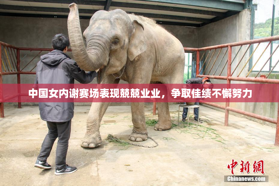 中国女内谢赛场表现兢兢业业，争取佳绩不懈努力