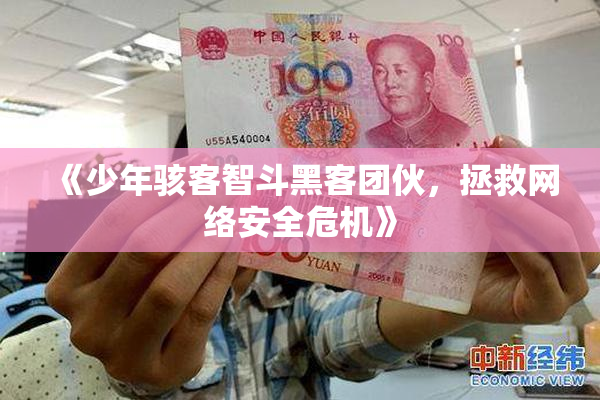 《少年骇客智斗黑客团伙，拯救网络安全危机》