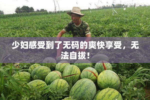少妇感受到了无码的爽快享受，无法自拔！