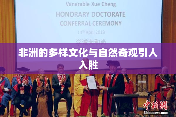 非洲的多样文化与自然奇观引人入胜
