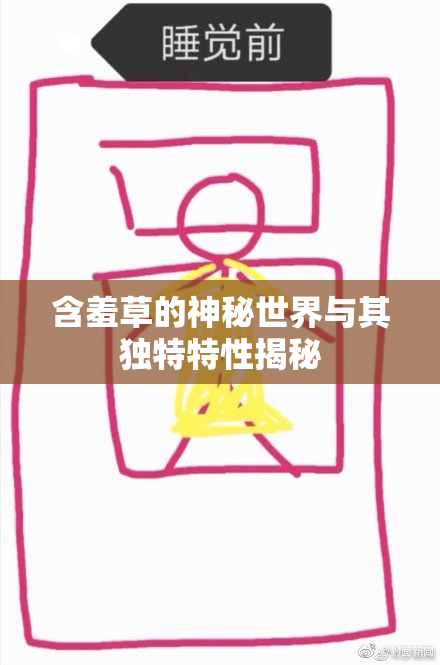 含羞草的神秘世界与其独特特性揭秘