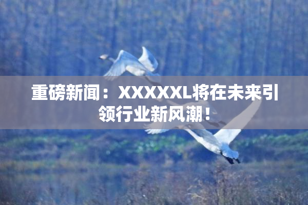 重磅新闻：XXXXXL将在未来引领行业新风潮！