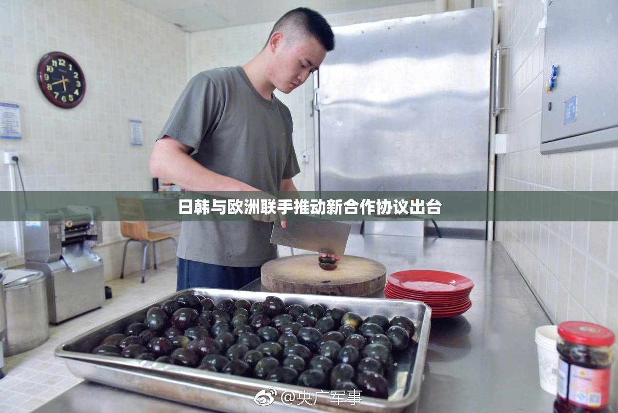 日韩与欧洲联手推动新合作协议出台