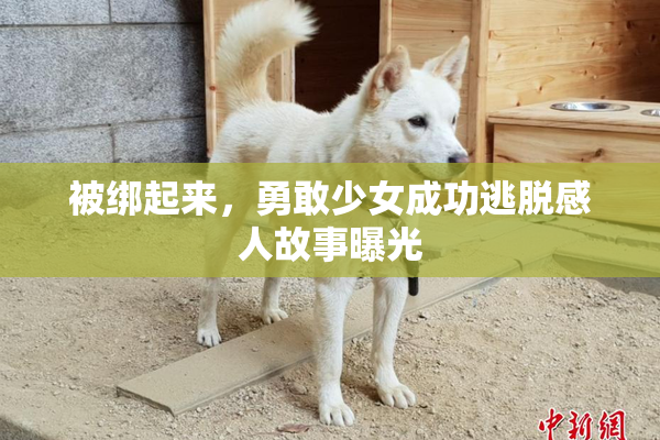被绑起来，勇敢少女成功逃脱感人故事曝光