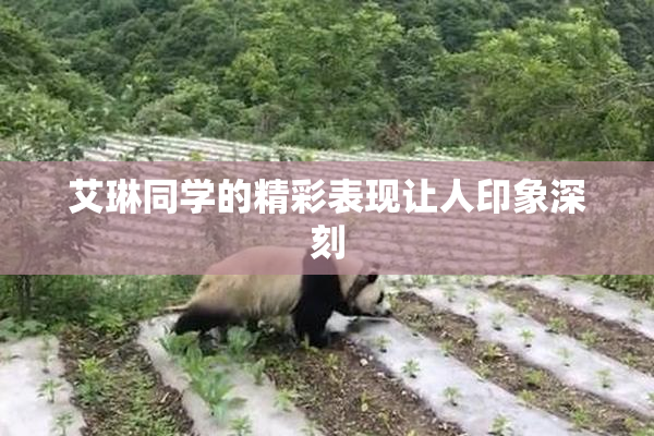 艾琳同学的精彩表现让人印象深刻
