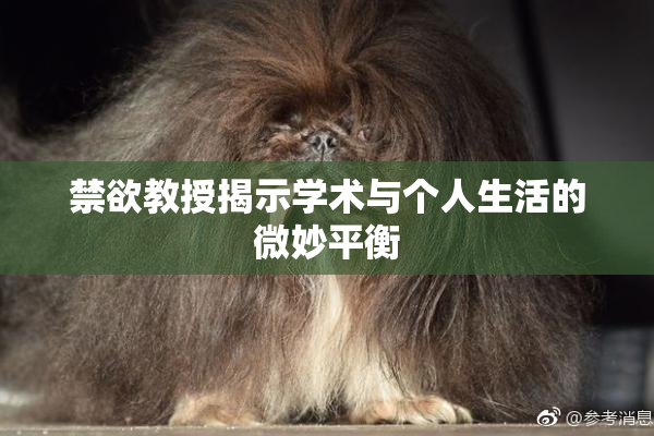 禁欲教授揭示学术与个人生活的微妙平衡
