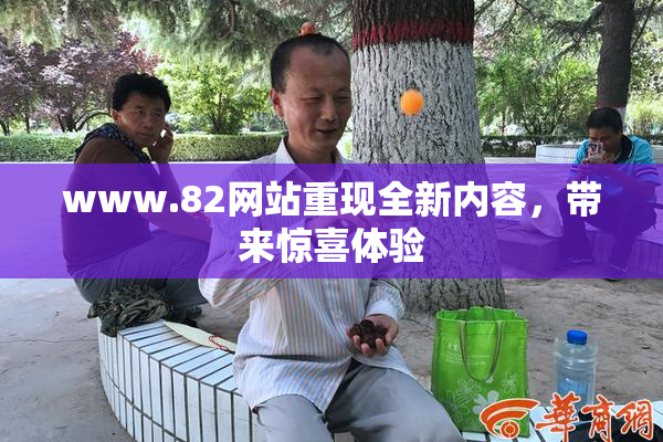 www.82网站重现全新内容，带来惊喜体验