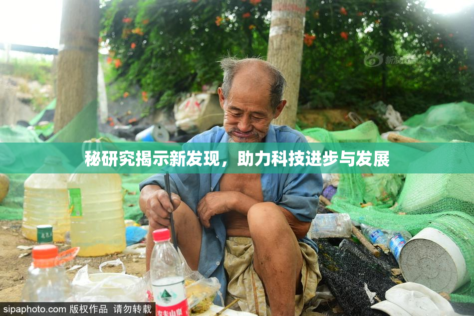 秘研究揭示新发现，助力科技进步与发展
