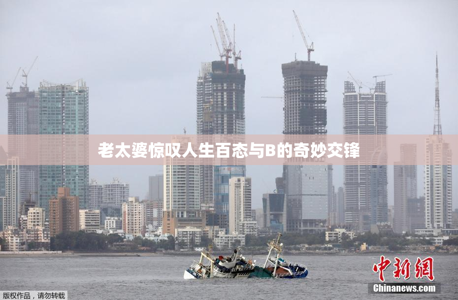 老太婆惊叹人生百态与B的奇妙交锋
