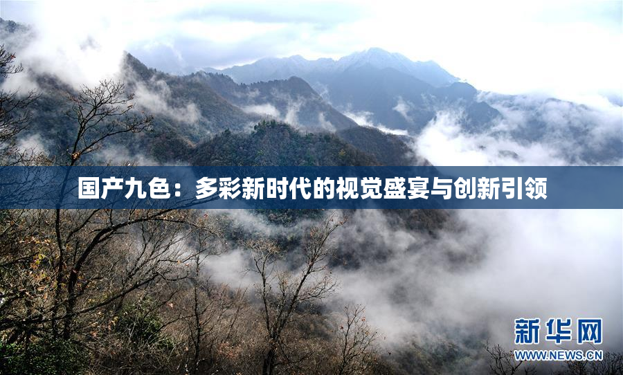 国产九色：多彩新时代的视觉盛宴与创新引领