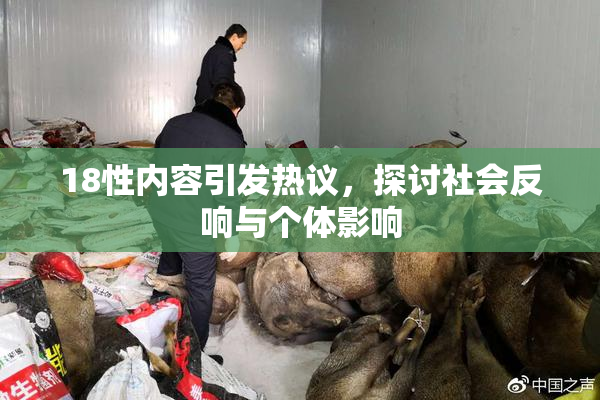 18性内容引发热议，探讨社会反响与个体影响