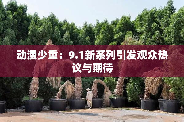 动漫少重：9.1新系列引发观众热议与期待