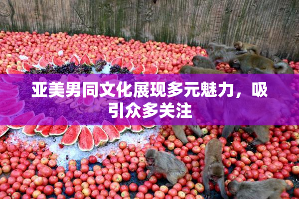 亚美男同文化展现多元魅力，吸引众多关注