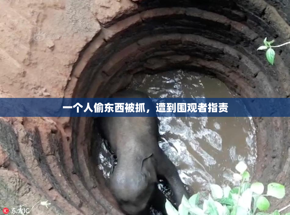 一个人偷东西被抓，遭到围观者指责