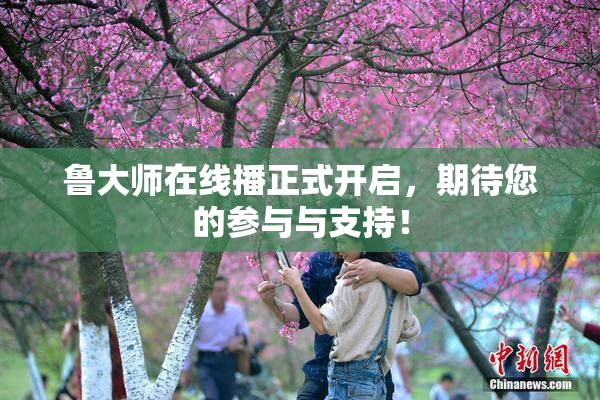 鲁大师在线播正式开启，期待您的参与与支持！