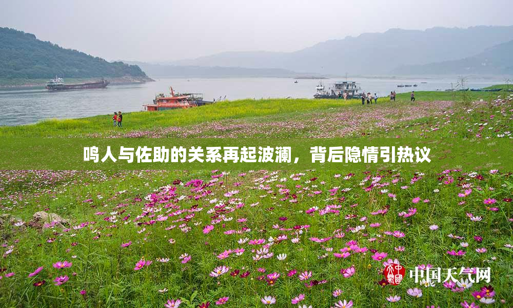 鸣人与佐助的关系再起波澜，背后隐情引热议