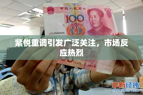 紫悦重调引发广泛关注，市场反应热烈