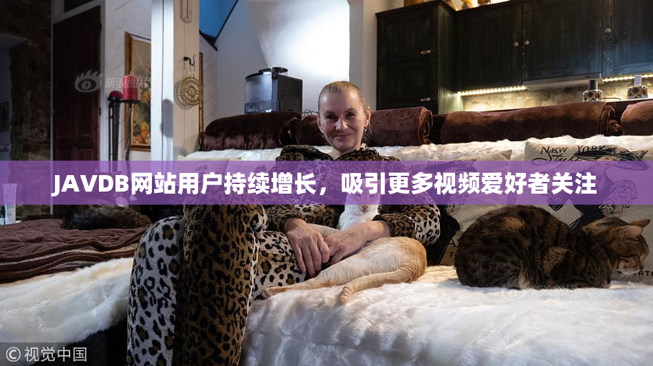 JAVDB网站用户持续增长，吸引更多视频爱好者关注
