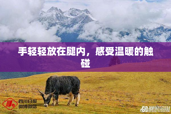 手轻轻放在腿内，感受温暖的触碰