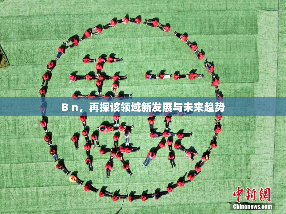 B n，再探该领域新发展与未来趋势