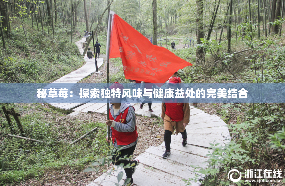 秘草莓：探索独特风味与健康益处的完美结合