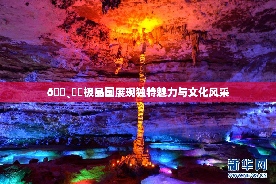 🌸‌✿极品国展现独特魅力与文化风采