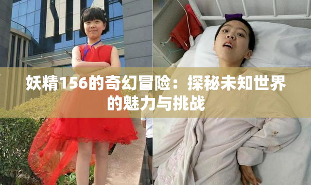 妖精156的奇幻冒险：探秘未知世界的魅力与挑战