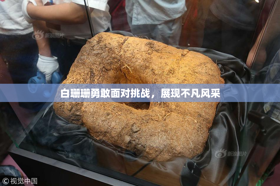 白珊珊勇敢面对挑战，展现不凡风采