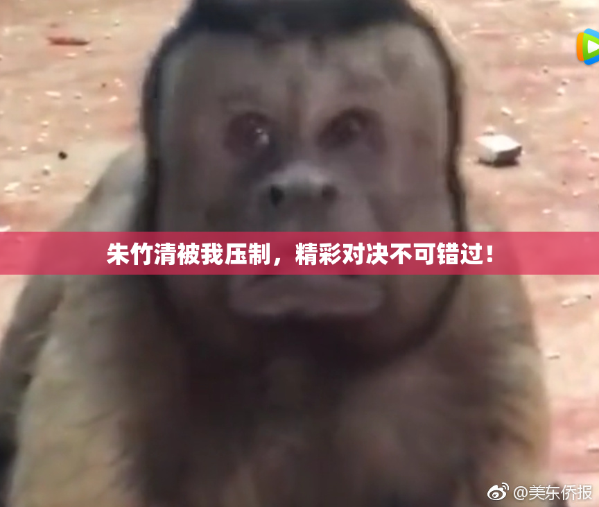 朱竹清被我压制，精彩对决不可错过！