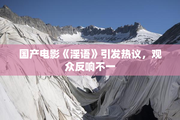 国产电影《淫语》引发热议，观众反响不一
