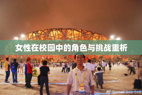 女性在校园中的角色与挑战重析