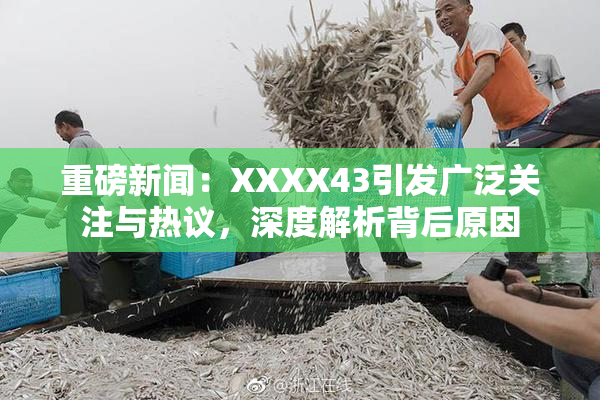 重磅新闻：XXXX43引发广泛关注与热议，深度解析背后原因