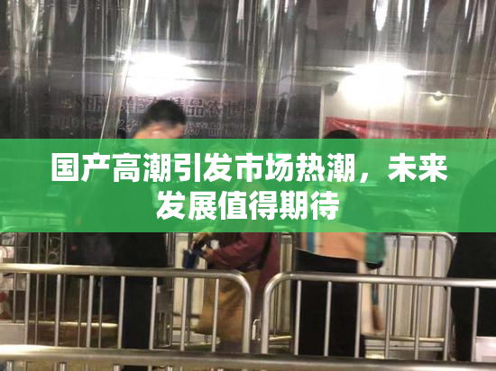 国产高潮引发市场热潮，未来发展值得期待