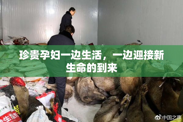 珍贵孕妇一边生活，一边迎接新生命的到来
