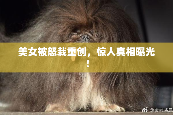 美女被怒栽重创，惊人真相曝光！