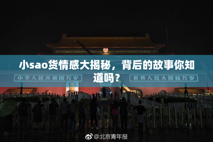 小sao货情感大揭秘，背后的故事你知道吗？