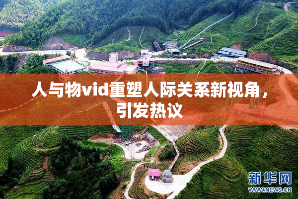 人与物vid重塑人际关系新视角，引发热议