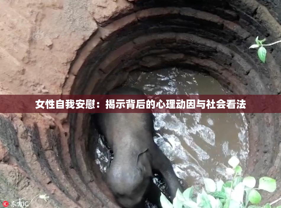 女性自我安慰：揭示背后的心理动因与社会看法