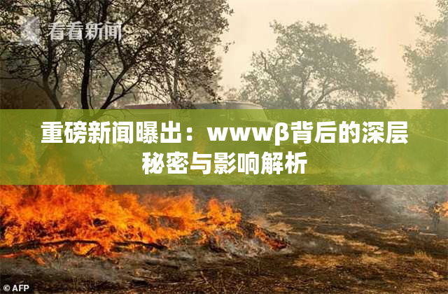 重磅新闻曝出：wwwβ背后的深层秘密与影响解析