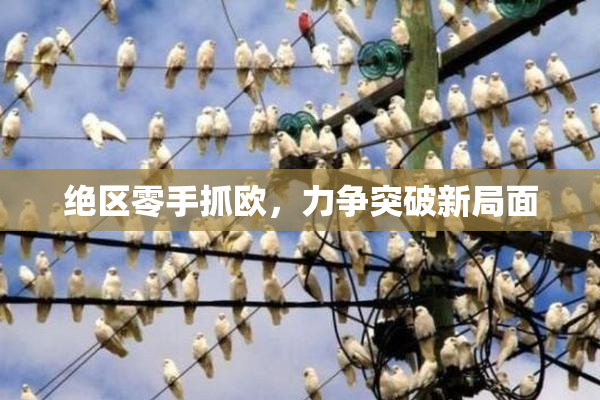 绝区零手抓欧，力争突破新局面