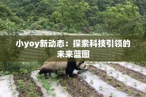 小yoy新动态：探索科技引领的未来蓝图
