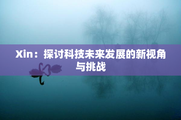 Xin：探讨科技未来发展的新视角与挑战
