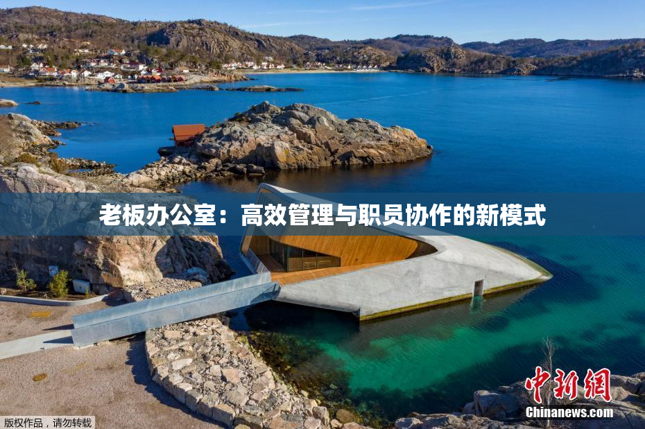 老板办公室：高效管理与职员协作的新模式