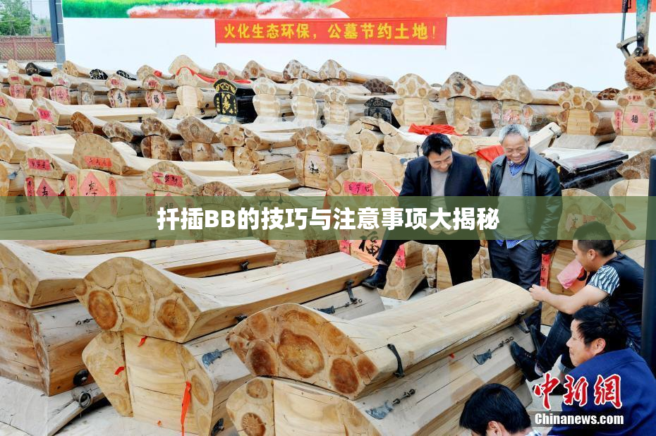 扦插BB的技巧与注意事项大揭秘