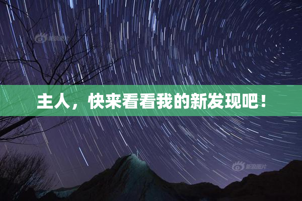 主人，快来看看我的新发现吧！