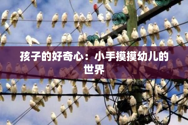 孩子的好奇心：小手摸摸幼儿的世界