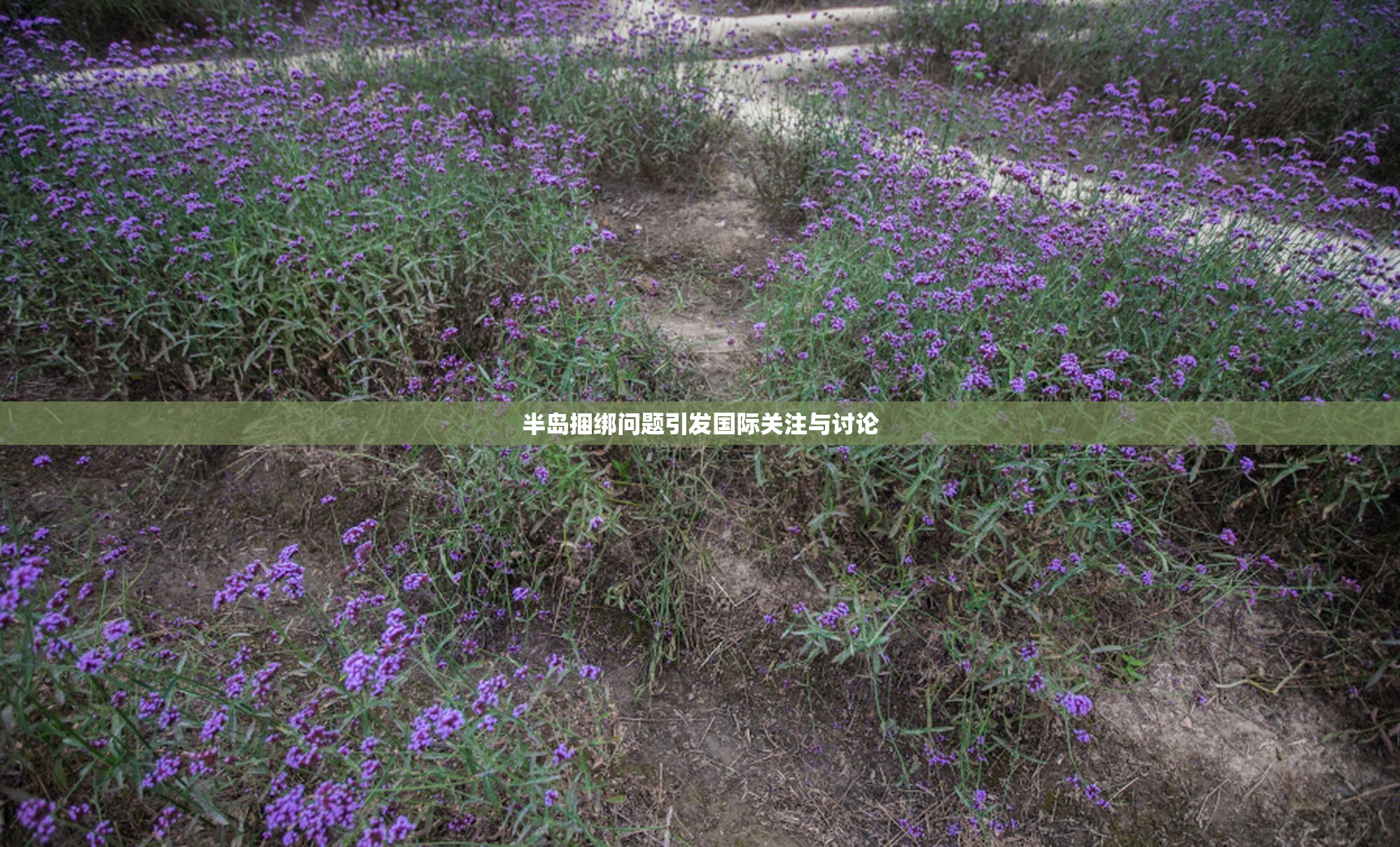 半岛捆绑问题引发国际关注与讨论