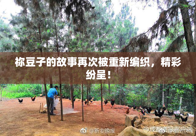 祢豆子的故事再次被重新编织，精彩纷呈！