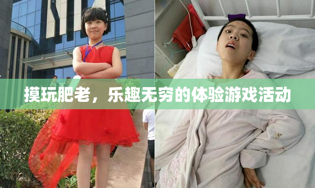 摸玩肥老，乐趣无穷的体验游戏活动